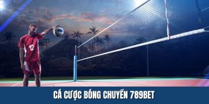 cá cược bóng chuyền
